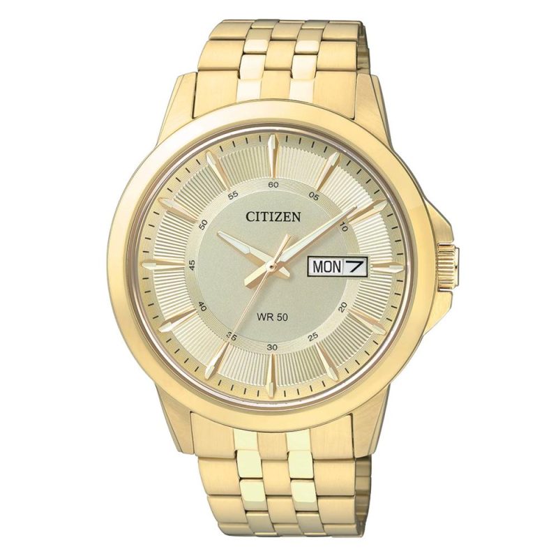 Citizen Classic Gold Stainless Steel Bracelet BF2013-56PE