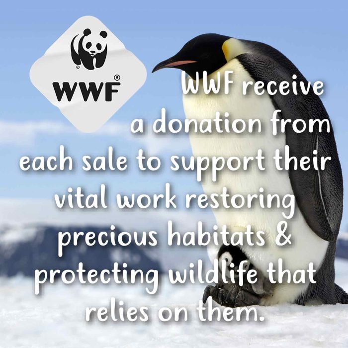 Tikkers WWF Penguin Turquoise Leather Strap & Penguin Charm Bracelet Gift Set TKWWF004